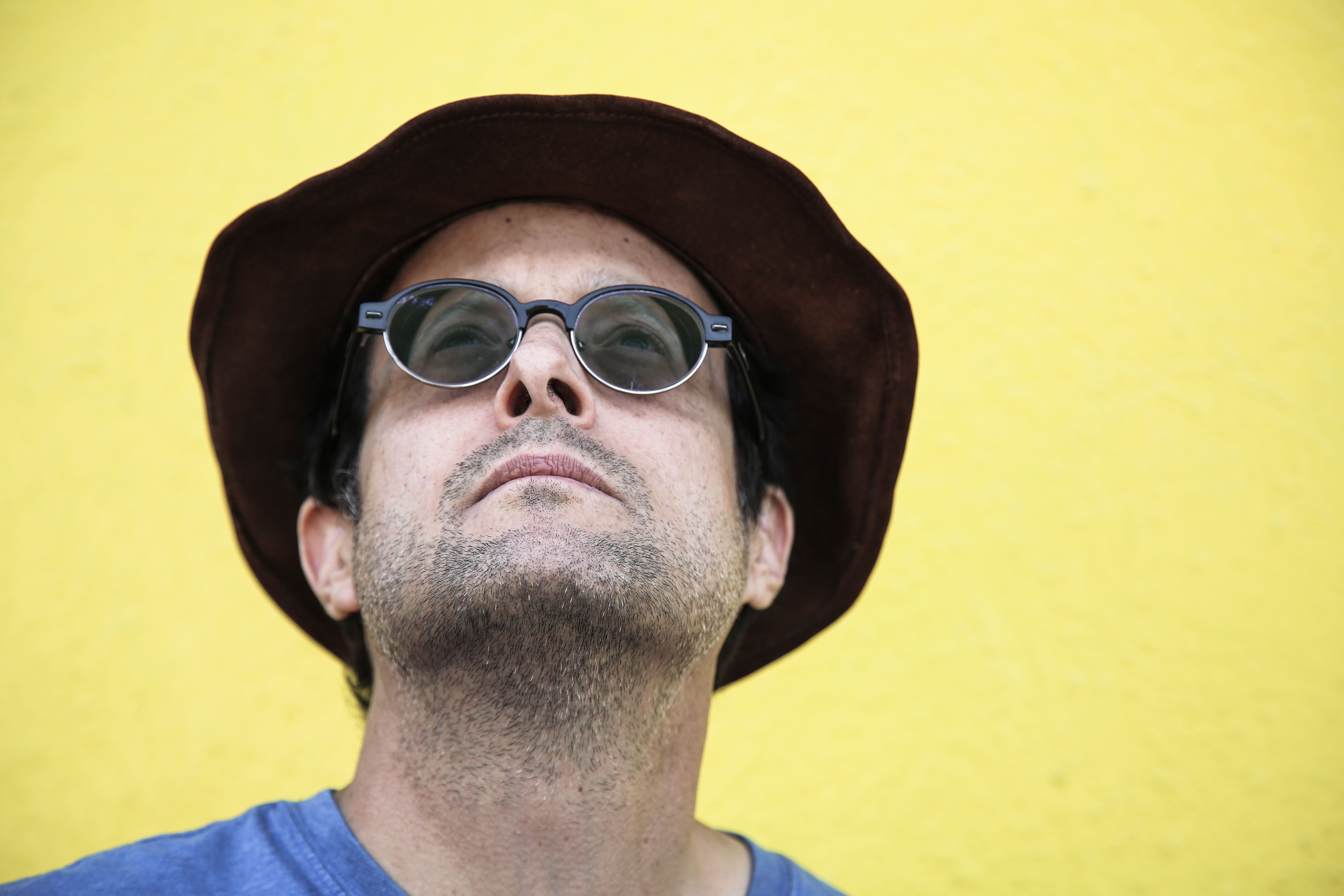 photo of stew looking up, with a yellow background